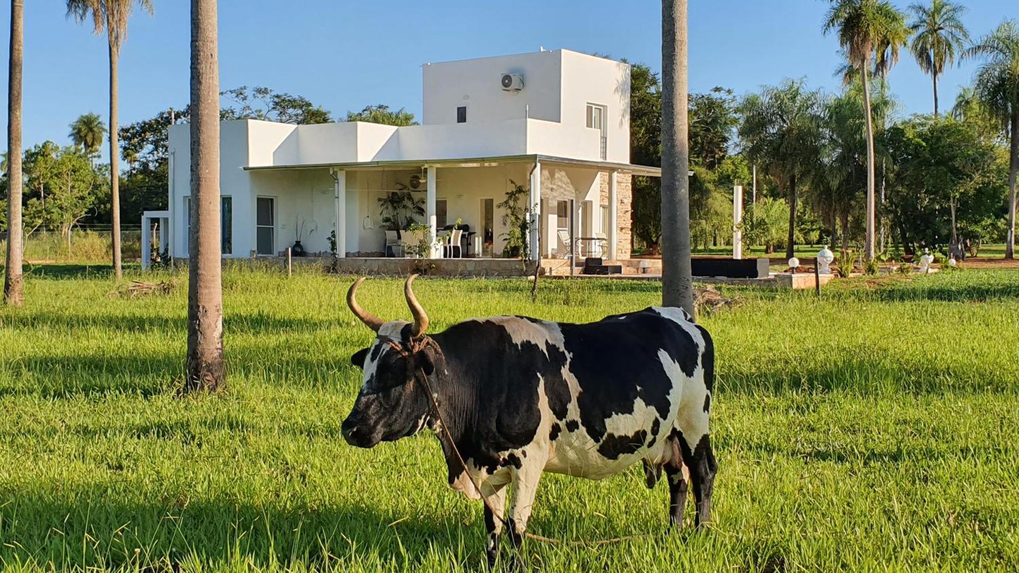 Residencia De Coco, Kunstlerhaus In Piribebuy, Villa Exterior foto