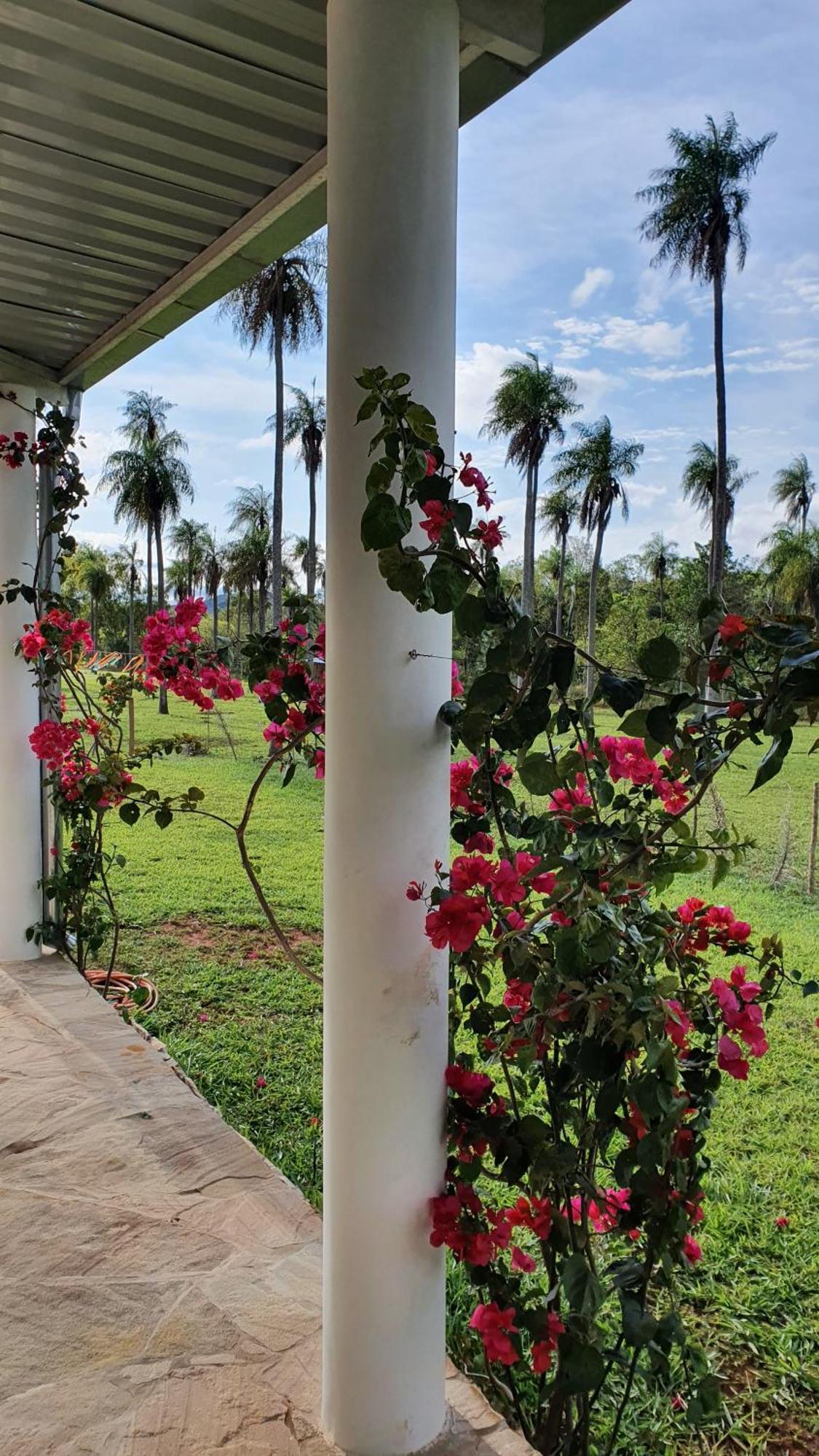 Residencia De Coco, Kunstlerhaus In Piribebuy, Villa Exterior foto